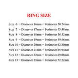 The One Ring